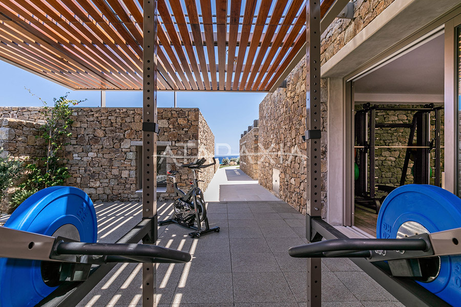 the king of villas rental mykonos