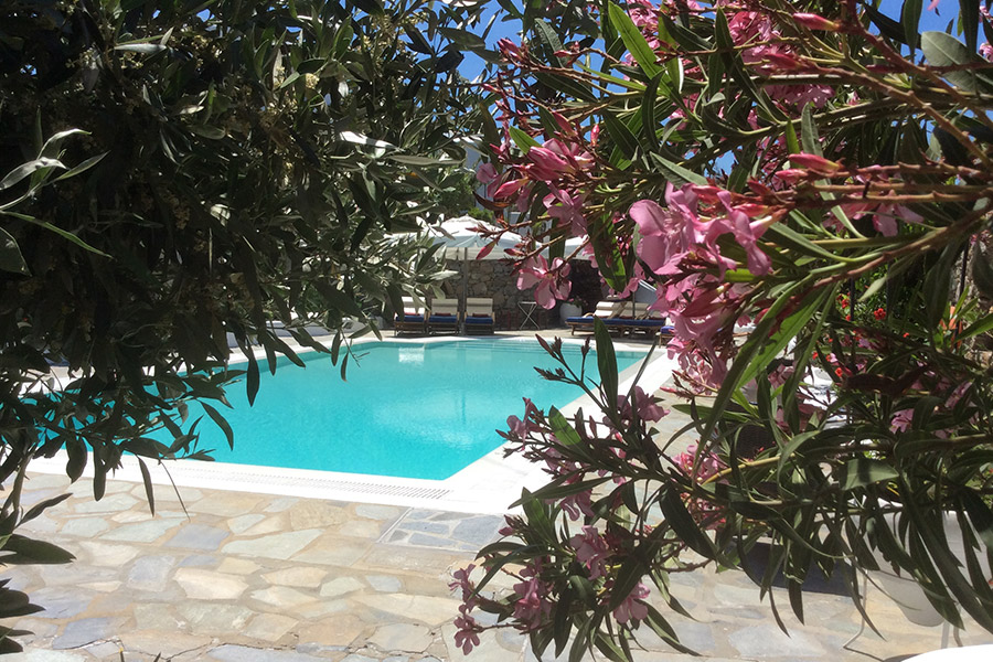 the king of villas rental mykonos